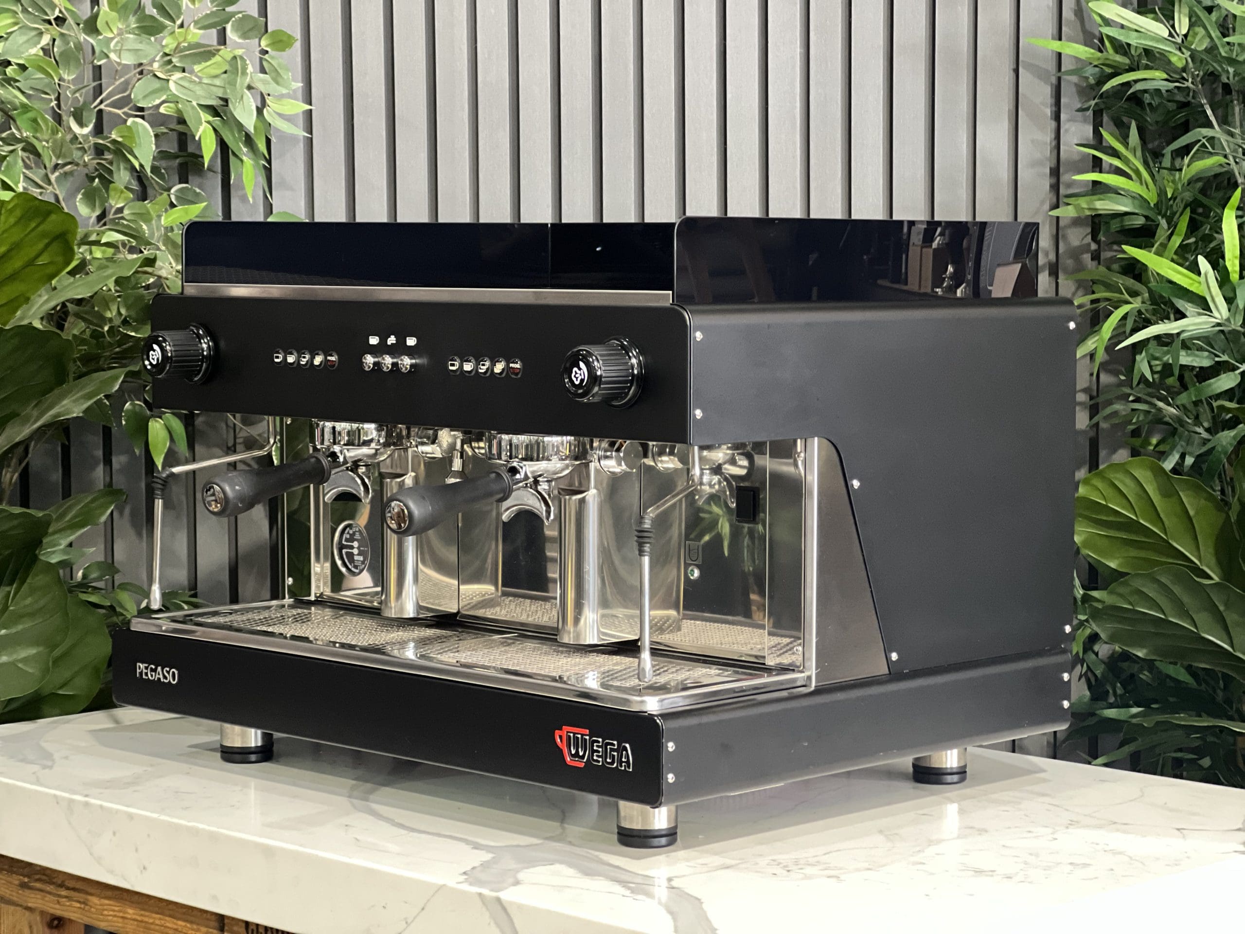 Wega Pegaso EVD 2 Group Black - 37518