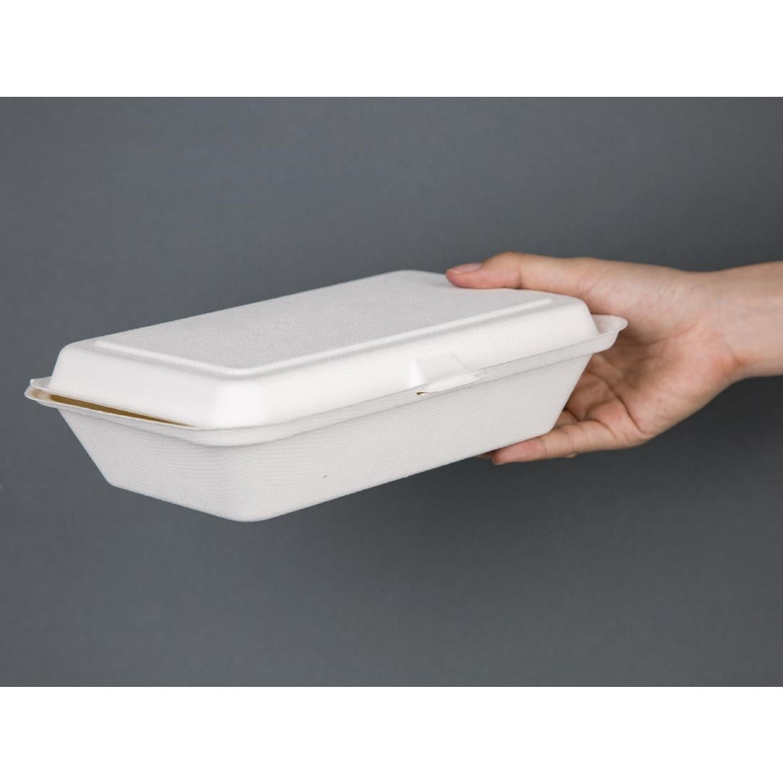 Fiesta Compostable Hinged Container 248mm (Pack of 250) - DW249