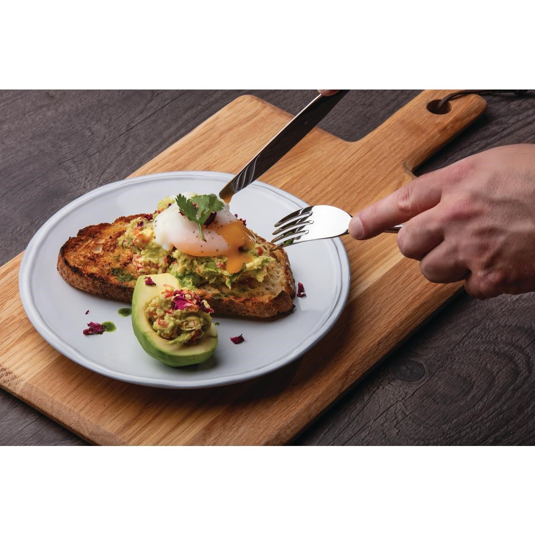 Olympia Raw Coupe Plates 220mm (6 Pack) - FC597