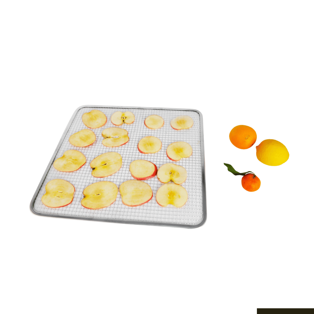 Benchstar Food Dehydrator with 16 trays - FD-16HB