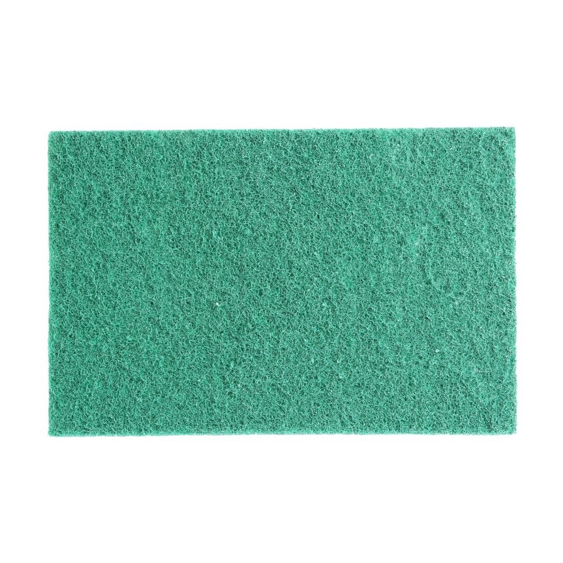 Jantex Green 100% Recycled Scouring Pads 228x152mm (10 pack) - HW010