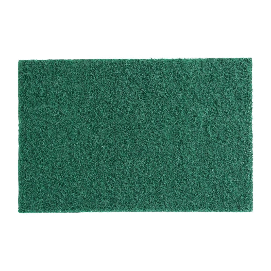 Jantex Green Scourer Pads Large (10 Pack) - HX233