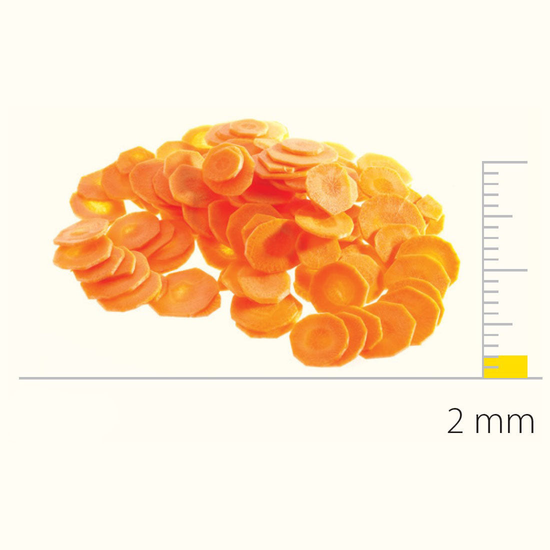 Dito Sama Stainless Steel Slicing Disc With S-Blades 2 DS650083