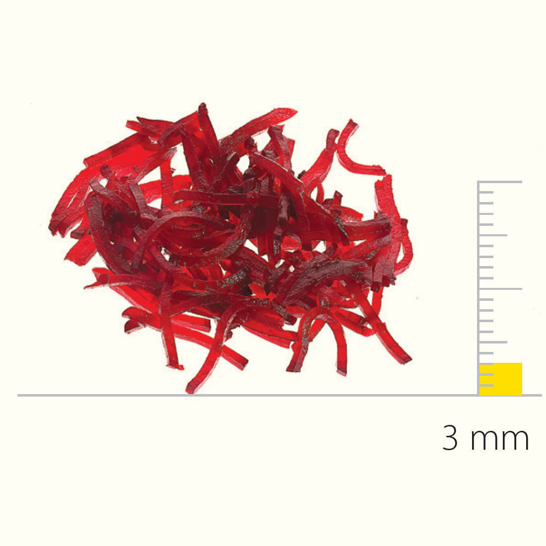 Dito Sama Stainless Steel Shredding Disc With S-Blades 3X3 MM DS650167