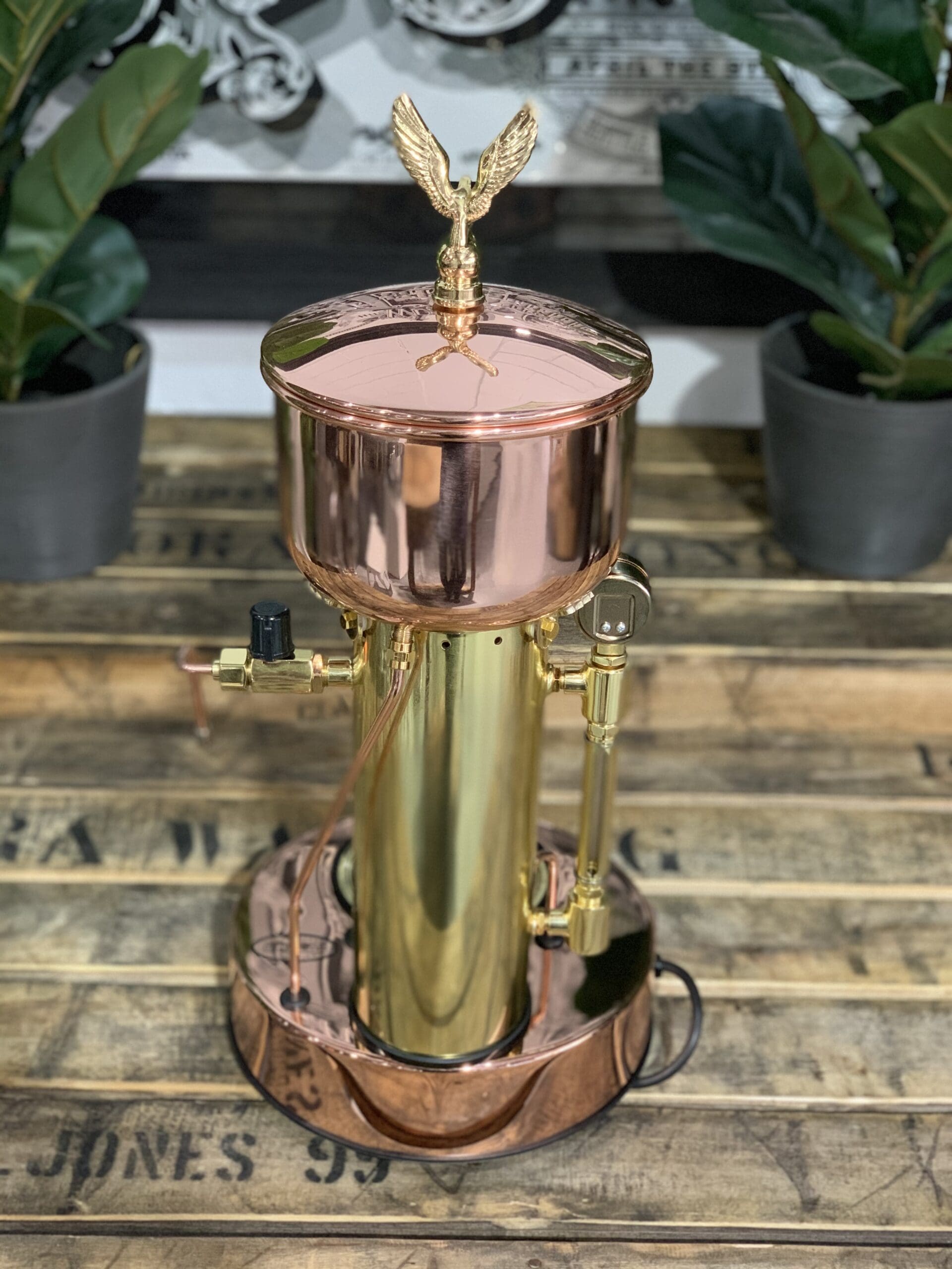 Elektra Micro Casa Semi Automatica & Brass - 1 Group Commercial Espresso Machine - Gold