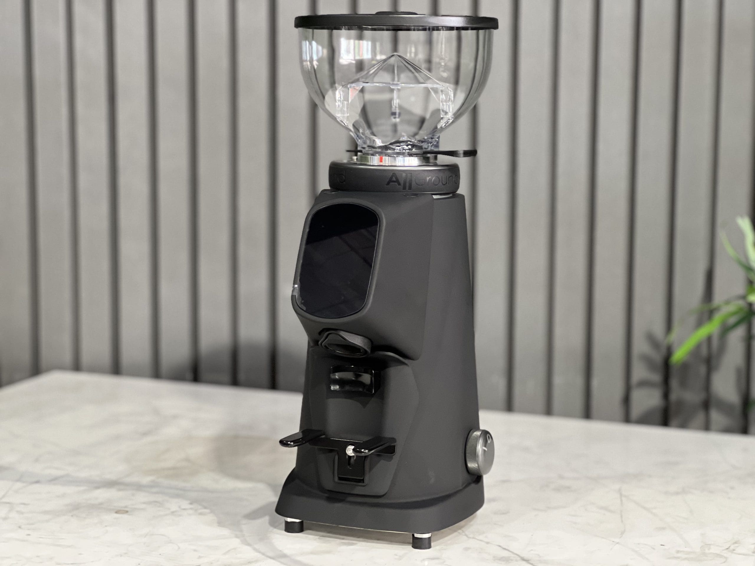 Fiorenzato All Ground Sense - Coffee Grinder