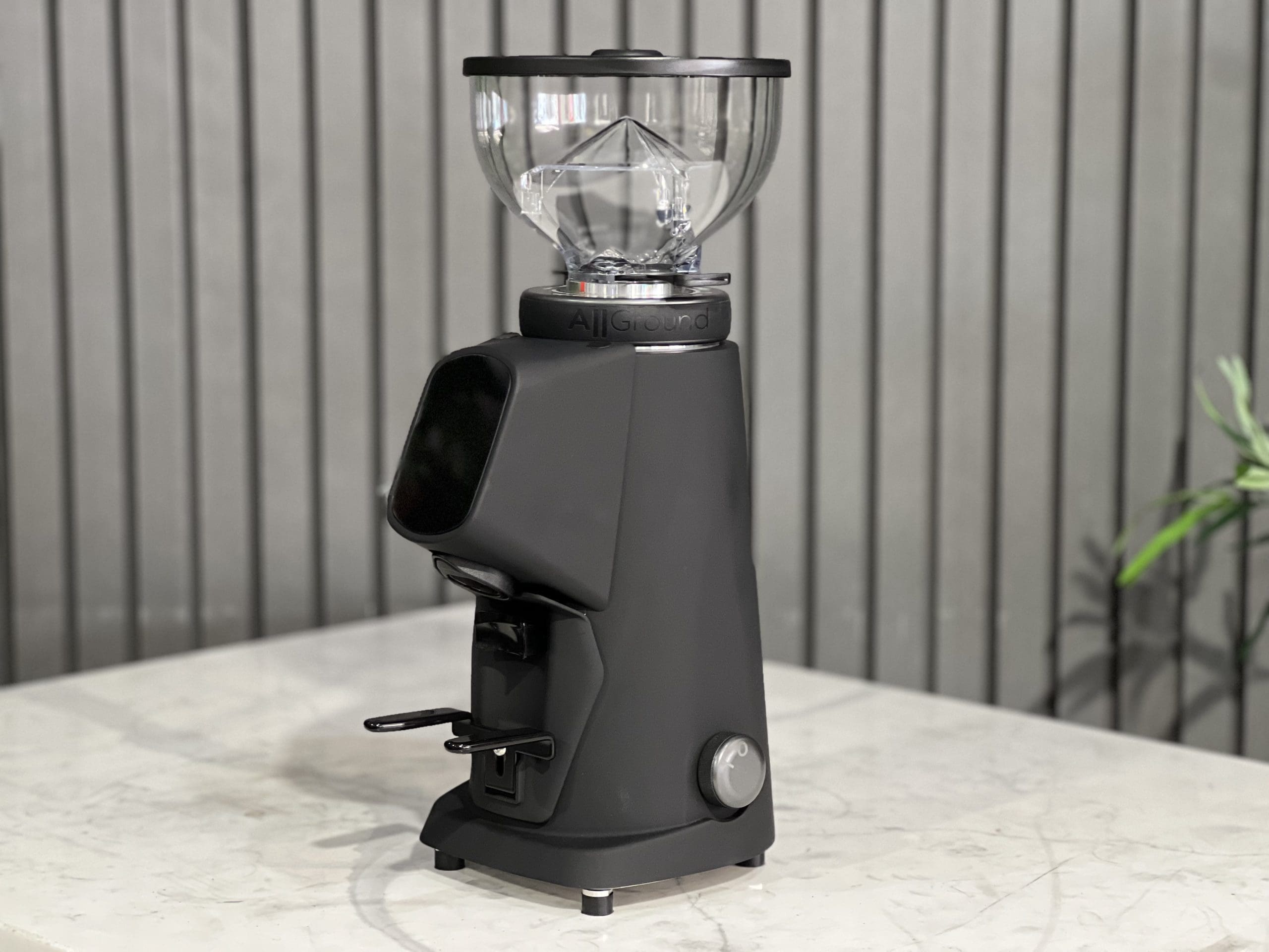 Fiorenzato All Ground Sense - Coffee Grinder