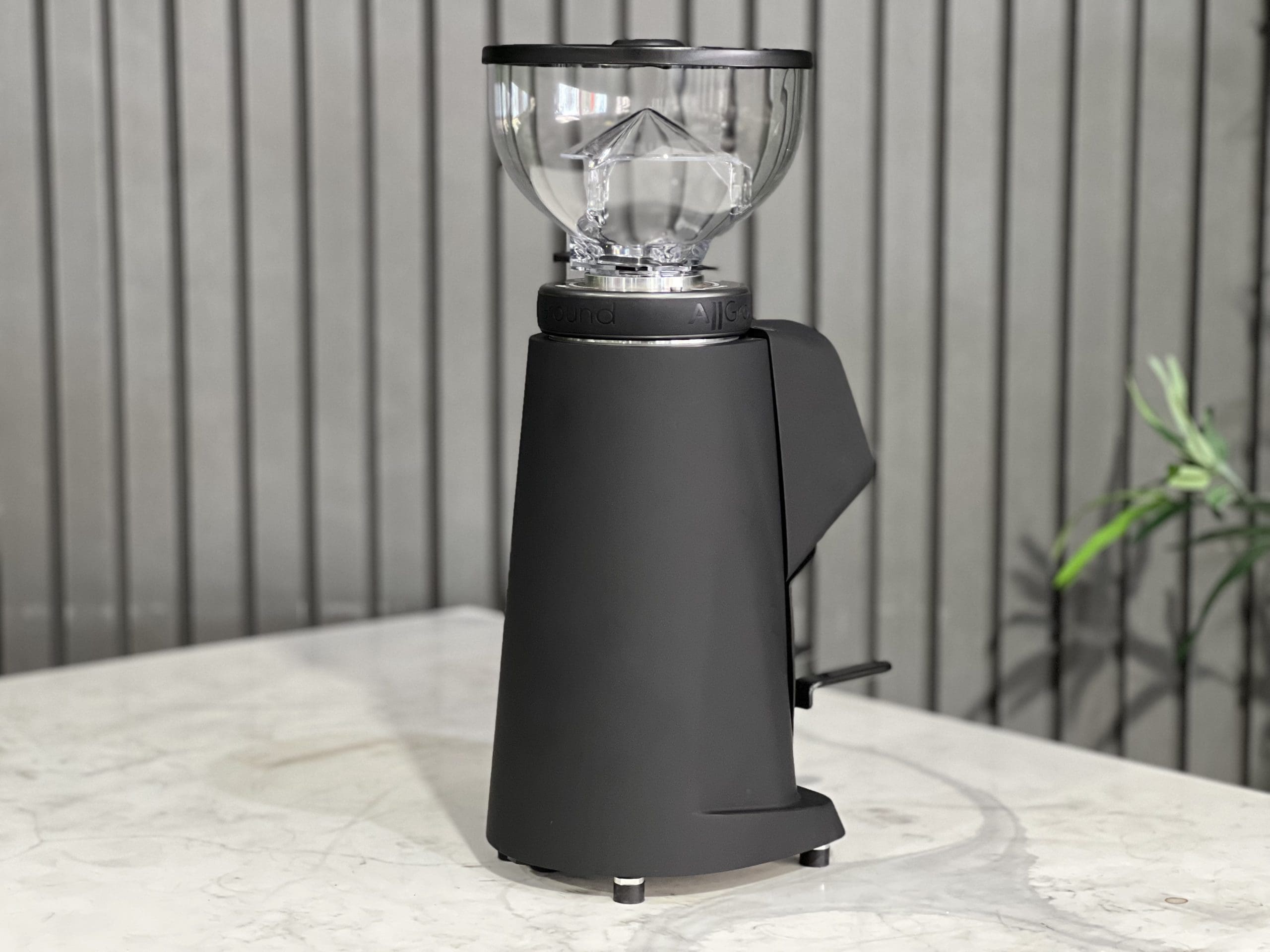 Fiorenzato All Ground Sense - Coffee Grinder