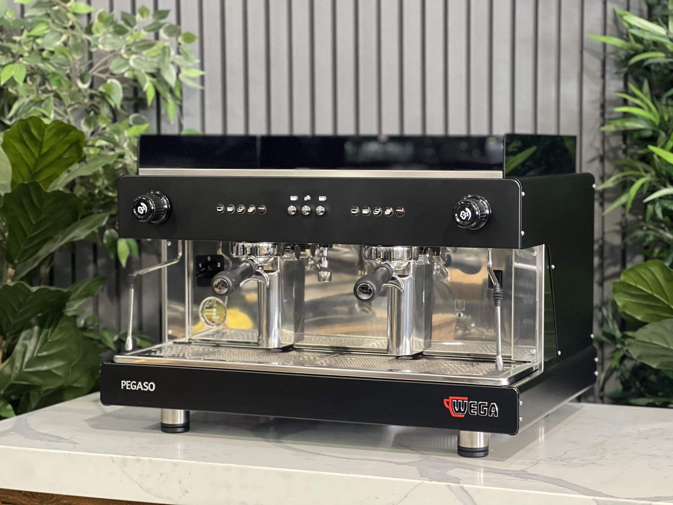 Wega Pegaso EVD 2 Group Black - 37518