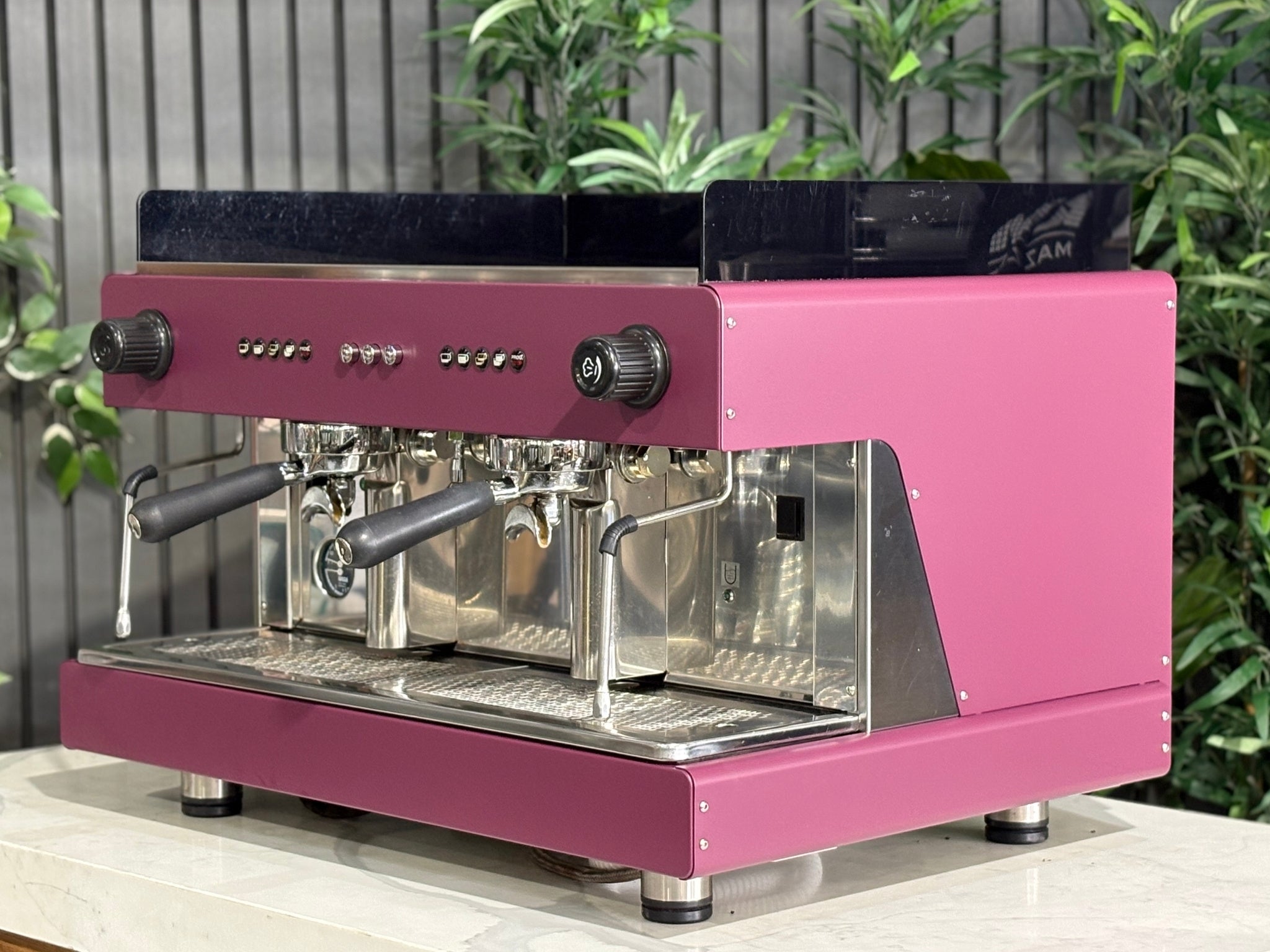 Wega Pegaso EVD Deep - 2 Group Commercial Espresso Machine - Pink