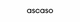 Ascaso