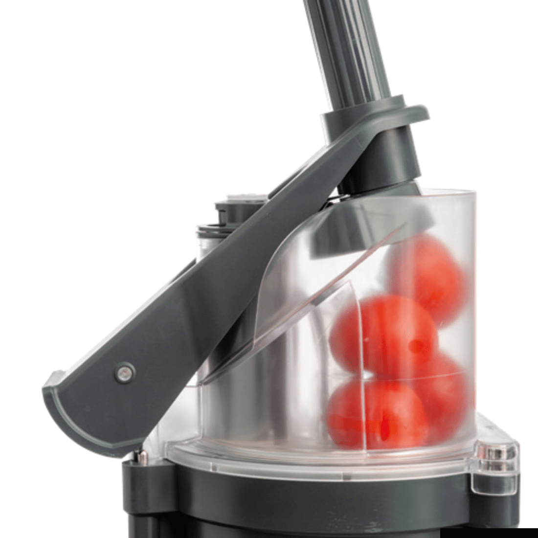 Dito Sama Prep4You Combination Cutter/Slicer 1 Speed 2.6L Copolyester Bowl P4U-PS201