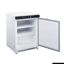 FED-X Thermaster Stainless Steel Uprighht Static Freezer XF200SS