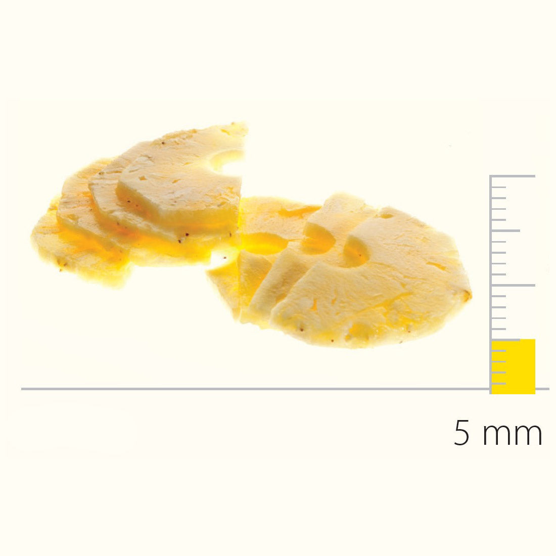 Dito Sama Stainless Steel Slicing Disc With S-Blades 5 DS650086