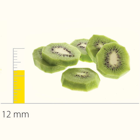 Dito Sama Stainless Steel Pressing/Slicing Disc With S-Blades (Balanced) 12 DS650161