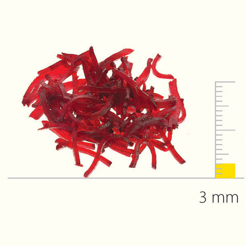 Dito Sama Stainless Steel Shredding Disc With S-Blades 3X3 MM DS650167